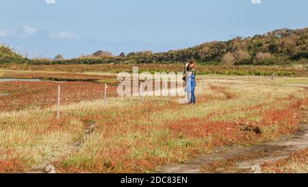 Texel, Niederlande - 22. Oktober 2020: Vogelbeobachtung im Naturschutzgebiet De Slufter auf der Watteninsel Texel, Nordholland, Niederlande Stockfoto