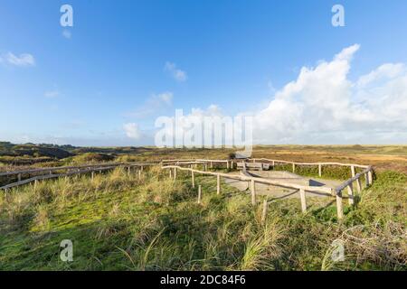 Aussichtspunkt Turfveld mit Panoramablick auf den Nationalpark Dünen Texel, Nordholland, Niederlande Stockfoto