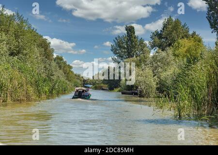 Donau Biosphärenreservat Ankudinovo Fluss Sommerlandschaft in der Nähe von Vilkove, Ukraine. In der Nähe des Schwarzen Meeres und des Donaudeltas. Stockfoto