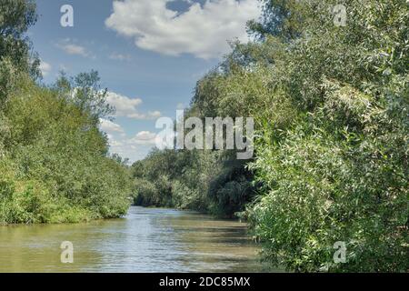 Donau Biosphärenreservat Belgorodske Fluss Sommerlandschaft in Vilkove, Ukraine. In der Nähe des Schwarzen Meeres und des Donaudeltas. Stockfoto