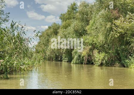 Donau Biosphärenreservat Belgorodske Fluss Sommerlandschaft in Vilkove, Ukraine. In der Nähe des Schwarzen Meeres und des Donaudeltas. Stockfoto