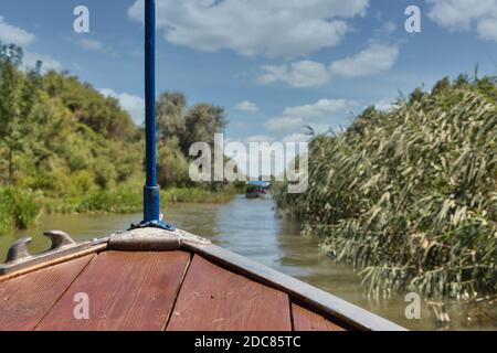 Donau Biosphärenreservat Ankudinovo Fluss Sommerlandschaft in der Nähe von Vilkove, Ukraine. In der Nähe des Schwarzen Meeres und des Donaudeltas. Stockfoto