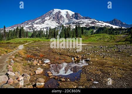 WA18265-00...WASHINGTON - Mount Rainier spiegelt sich in einem kleinen Teich entlang des Lakes Trail im Mount Rainier National Park. Stockfoto