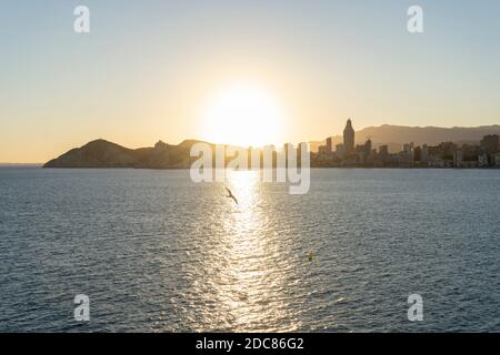 Herrliches Sonnenuntergangspanorama über Benidorm Skyline, Strandstadt in Spanien.berühmtes Reiseziel in Costa Blanca, Alicante.Urlaub und Sommer Hintergrund conce Stockfoto