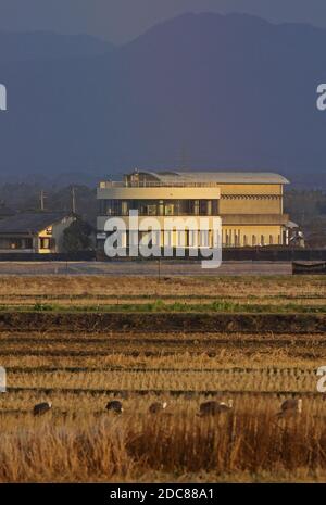 Blick über die Felder zum Arasaki Crane Observatorium Vogelbeobachtung Arasaki, Kyushu, Japan März Stockfoto