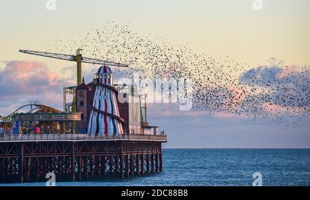 Brighton UK 19. November 2020 - Besucher genießen am Ende des Tages an der Südküste das tägliche sternenhafte Murmeln bei Sonnenuntergang am Strand neben dem Brighton Palace Pier : Credit Simon Dack / Alamy Live News Stockfoto