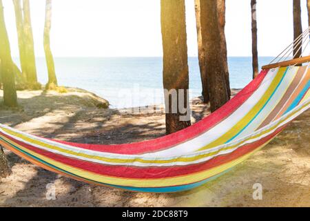 Hängematte am Strand bei Sonnenuntergang im Schatten zwischen den Kiefern. Stockfoto