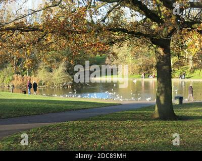 Herbstszene im November Sonnenlicht in einem Park, mit Besuchern beobachten die Enten und Vögel auf dem See Stockfoto