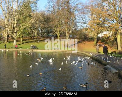 Herbstszene im November Sonnenlicht in einem Park, mit Besuchern beobachten die Enten und Vögel auf dem See Stockfoto