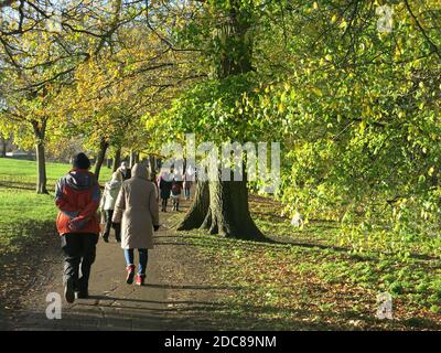 Geschäftiges Novembernachmittag im Abington Park, wenn Besucher in ihren Wintermänteln dem Fußweg durch die Bäume folgen; Northampton, November 2020 Stockfoto