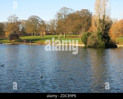 Blick über den See im Abington Park mit Herbstfarben in den Bäumen. Stockfoto