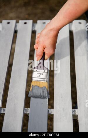 Prozess der Handbemalung von weißen Holzbrettern mit grauer Farbe mit Malpinsel. Stockfoto