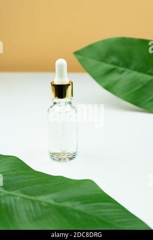 Anti-Aging-Serum in Glasflasche mit Tropf auf grünem Blatt und weißem Hintergrund. Flüssiges Gesichtsserum mit Kollagen und Peptiden. Hautpflege Essenz für Stockfoto