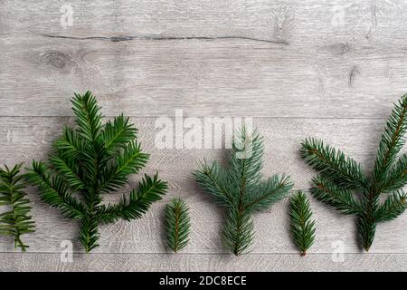 Tannenzweige Grenze auf Holzgrund, Weihnachtsgrün Zusammensetzung Stockfoto