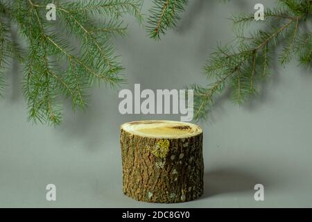 Leeres Holzpodium mit Tannenzweigen auf grauem Hintergrund. Holzschnitt bedeckt mit grober Rinde und und kopieren Raum. Stockfoto