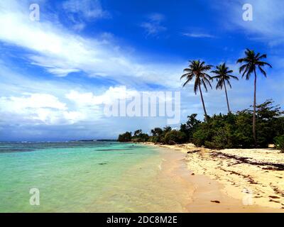 Strand "Bois Jolan" in der Nähe von Sainte-Anne, Guadeloupe Stockfoto