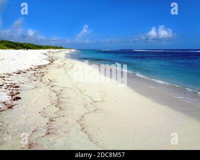 'Grande anse des salines' Strand an der Pointe des Châteaux in der Nähe von Saint-François, Guadeloupe Stockfoto