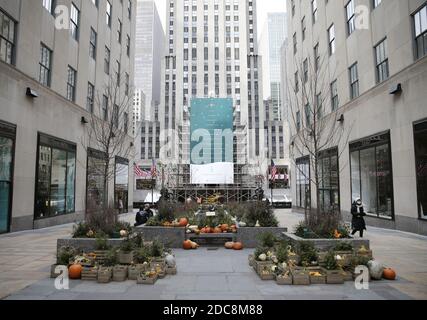 New York, Usa. November 2020. Die Arbeiter bereiten weiterhin den Weihnachtsbaum des Rockefeller Center für die Baumbeleuchtung vor, die am 4. Dezember am Rockefeller Plaza in New York City am Donnerstag, dem 19. November 2020, geplant ist. Foto von John Angelillo/UPI Kredit: UPI/Alamy Live Nachrichten Stockfoto