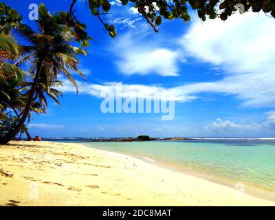 Caravelle Beach in Sainte-Anne, Guadeloupe Stockfoto