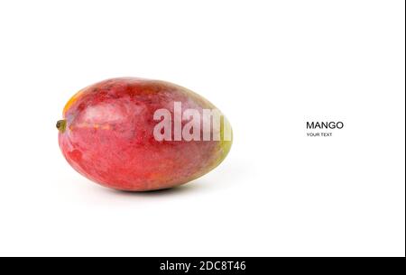 Mango in der Haut ist auf weißem Hintergrund isoliert. Stockfoto