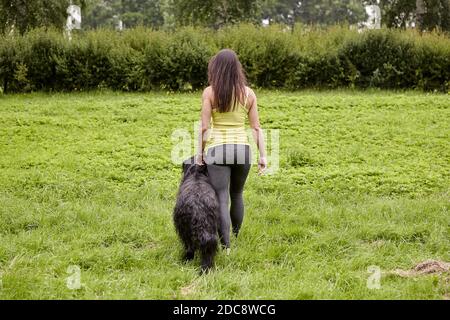 Rückansicht einer jungen Frau, die mit einem schwarzen langhaarigen briard im Park spaziert. Stockfoto
