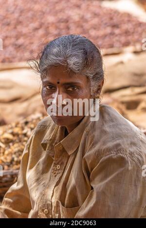 Chikkanayakanahalli, Karnataka, Indien - 3. November 2013: Nahaufnahme Porträt der grauen Frau mit beigefarbenem Hemd und Nasenschmuck. Stockfoto