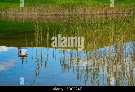 Spiegelung einer bunten Landschaft auf dem ruhigen flachen Wasser Des Sees Stockfoto
