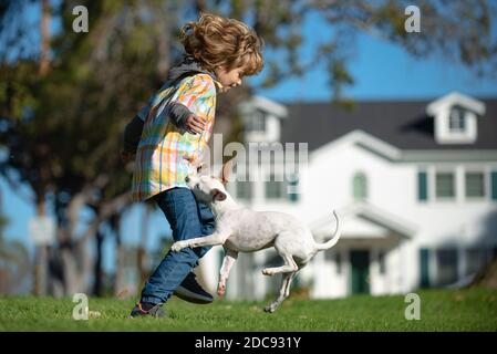 Lustige Foto von glücklichen Kind spielen mit Hund. Stockfoto