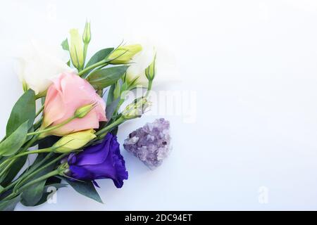 Schöne lila und rosa eustoma (lisianthus) Blüten in voller Blüte mit grünen Blättern und Amethyst Druse. Stockfoto
