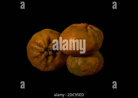 Mandarinen auf schwarzem Hintergrund Stockfoto