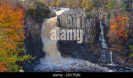 High Force Wasserfall im Herbst, in der Nähe von Middleton in Teesdale, County Durham, England, Vereinigtes Königreich Stockfoto