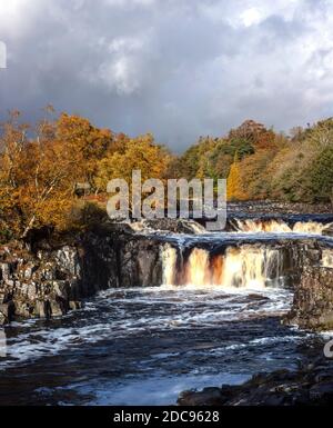 Low Force Wasserfall im Herbst, Bowlees, Teesdale, County Durham, England, Vereinigtes Königreich Stockfoto