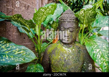 Stone Buddha in Ubud, Bali, Indonesien, Asien Stockfoto