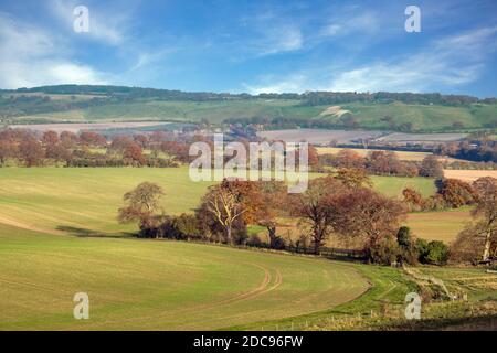 Countrysde Chiltern Hills Hertfordshire England Stockfoto