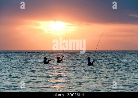 Fischfang bei Sonnenuntergang im Ozean am Sengiggi Beach, Silhouetten gegen die Sonne, Lombok, Indonesien, Asien, Hintergrund mit Kopierraum Stockfoto