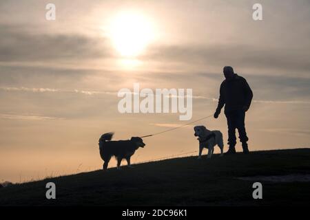 Silhouette Mann und zwei Hunde Chiltern Hills Hertfordshire England Stockfoto