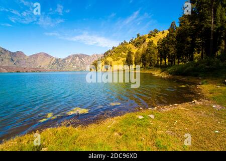 Segara Anak See im Mount Rinjani Krater, Lombok, Indonesien, Asien Stockfoto