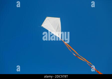 Weißer roter Seedrachen, der gegen den blauen, klaren Himmel fliegt. Stockfoto