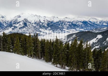 Skigebiet Zell am See im Winter. Kitzsteinhorn Bergkette vom Schmittenhohe Gipfel bei Kaprun in österreichischen Alpen, Österreich. Schnee, Tannen Stockfoto