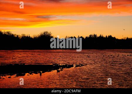 Spektakulärer Herbstuntergang über Dow's Lake, Ottawa, Ontario, Kanada. Stockfoto