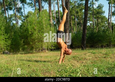 Adho mukha vrikshasana - asna der Yoga-Lehrer in erstaunlich Kiefernwald in der Nähe von Schwarzmeerküste Stadt Stockfoto