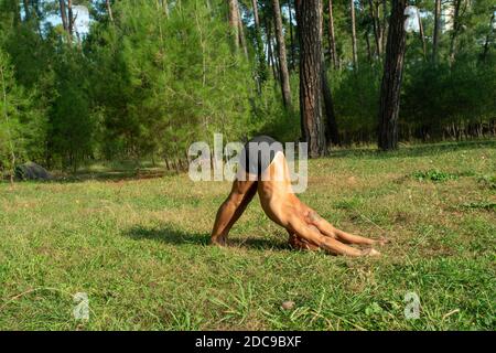 Gebräunter Mann - Yogalehrer - Perfoming Adho Mukha Svanasana - Asana in erstaunlichen Kiefernwald auf Gras an der Schwarzmeerküste. Stockfoto