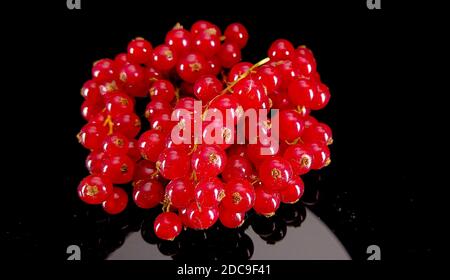 Bündel rote Johannisbeeren - Nahaufnahme Stockfoto