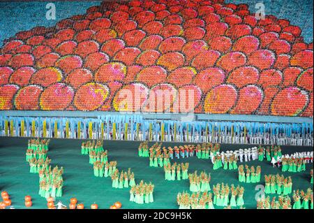 08.08.2012, Pjöngjang, , Nordkorea - mehrere tausend Menschen werden auf den Ständen des 1. Mai-Stadi riesige Mosaikbilder mit bunten Plakaten bilden Stockfoto