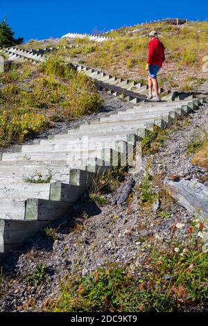 WA18316-00...WASHINGTON - Wanderweg zum Windy Ridge Aussichtspunkt im Mount St. Helens National Volcanic Monument. Stockfoto