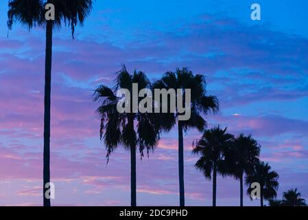 Blick auf den Sonnenuntergang entlang der Florida A1A in Ponte Vedra Beach, Florida. (USA) Stockfoto