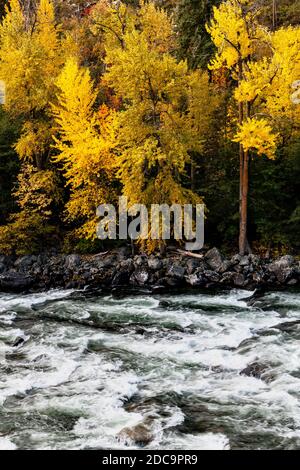 WA17880-00....WASHINGTON - der Wenatchee River im Tumwater Canyon entlang Autobahn 2 Stockfoto