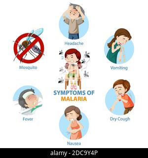 Symptome der Malaria Cartoon Stil Infografik Illustration Stock Vektor