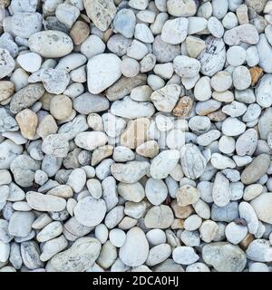 Weiße Kieselsteine Stein Textur und Hintergrund Stockfoto