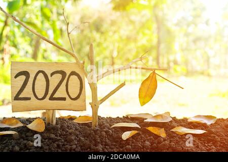 Ein Baumzweig mit einem einzigen verbleibenden letzten Blatt, das bei Sonnenuntergang neben einem 2020 Schild hängt. Auf Wiedersehen, Abschied, Abschluss, Ende Jahresende 2020 Konzept. Stockfoto